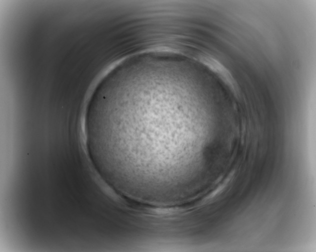 X0000088630796200706011144