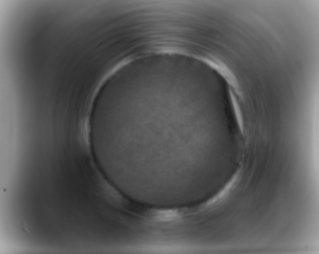 X0000088630798200706011144