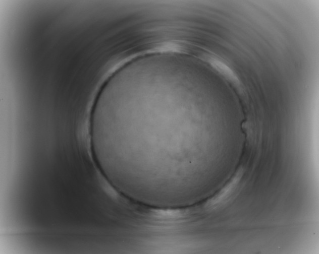 X0000088630800200706011143