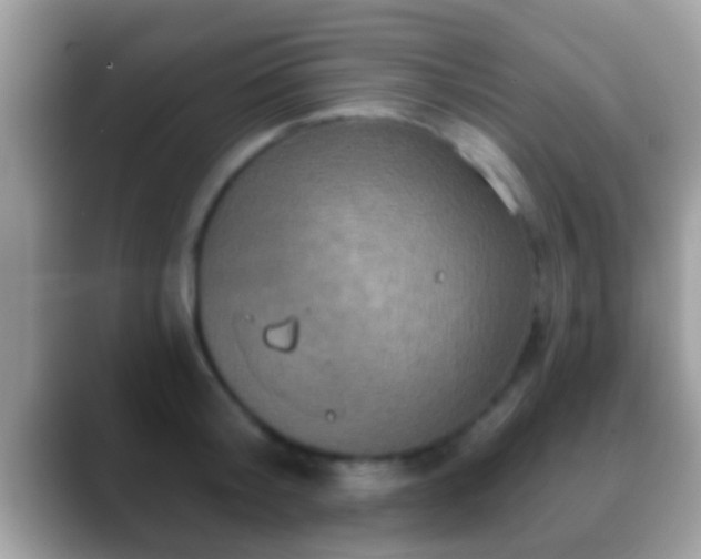 X0000088630804200706011143