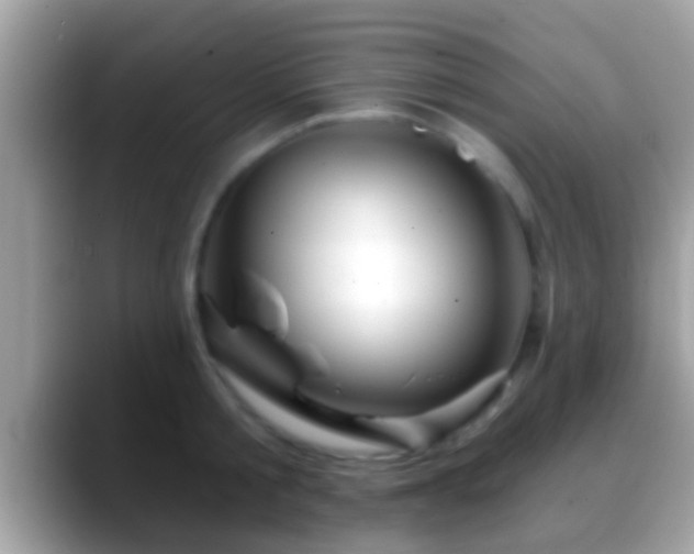 X0000088630805200706011143