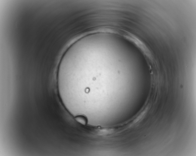 X0000088630808200706011143