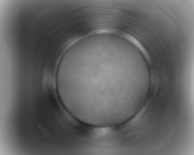 X0000088630810200706011143