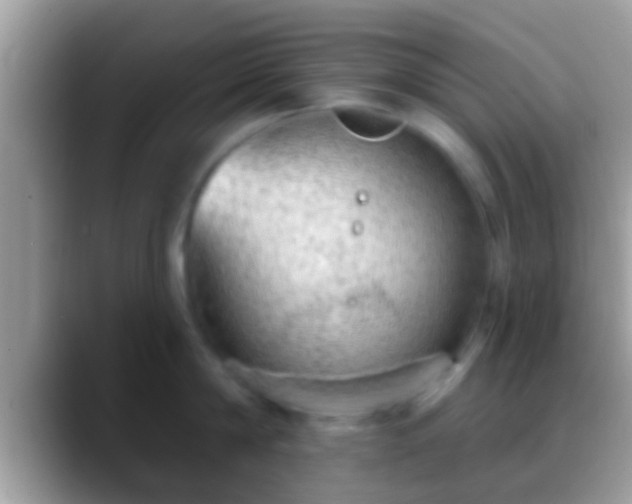 X0000088630814200706011143