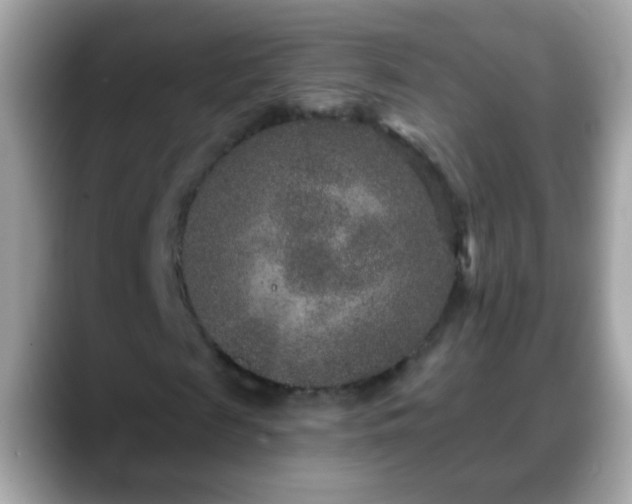 X0000088630817200706011143