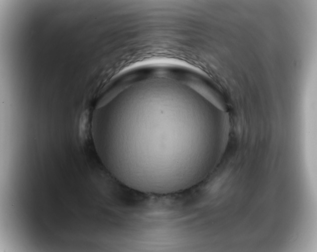 X0000088630818200706011143