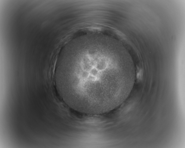 X0000088630819200706011143