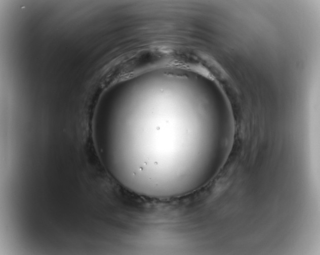 X0000088630821200706011143