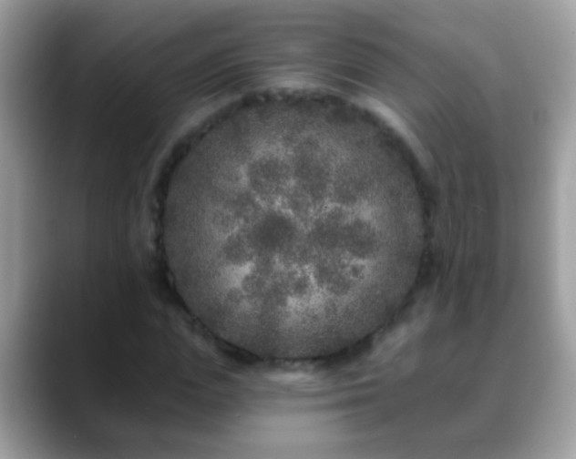 X0000088630823200706011143