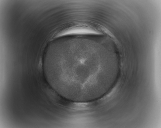 X0000088630825200706011143