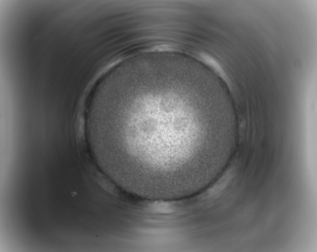 X0000088630827200706011143