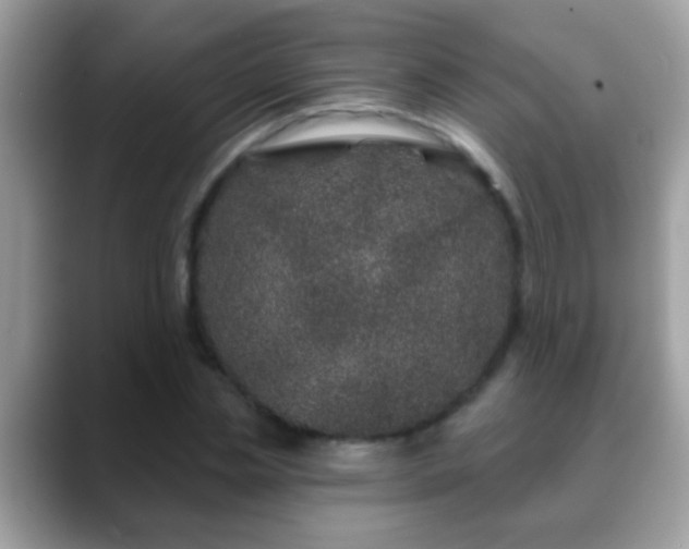 X0000088630829200706011143