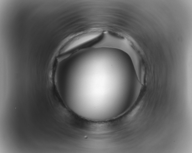 X0000088630830200706011143