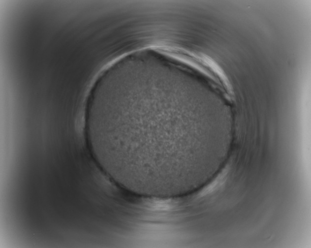 X0000088630831200706011143