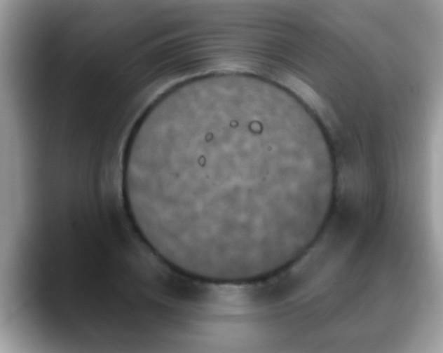 X0000088630836200706011143