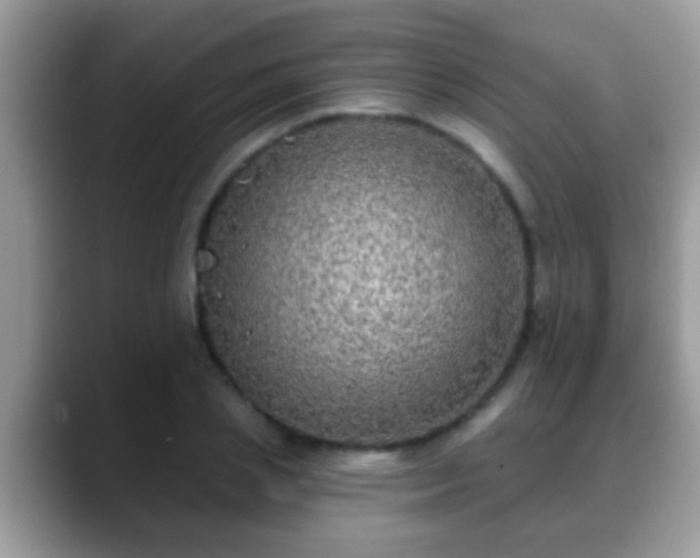 X0000088630837200706011143