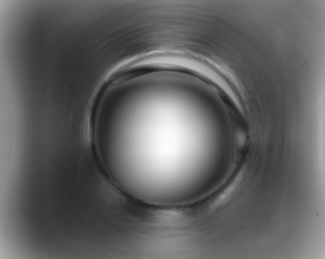 X0000088630838200706011143