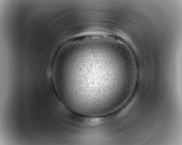 X0000088630841200706011143