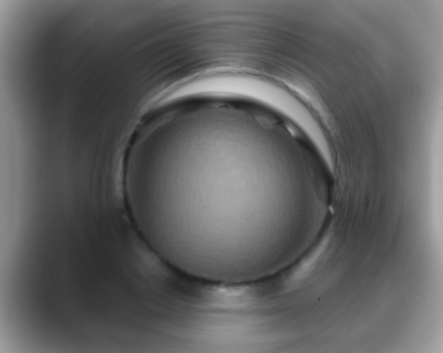 X0000088630842200706011143