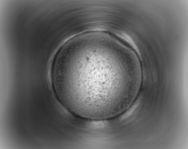 X0000088630843200706011143