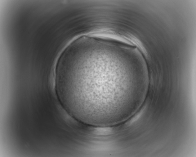 X0000088630844200706011143