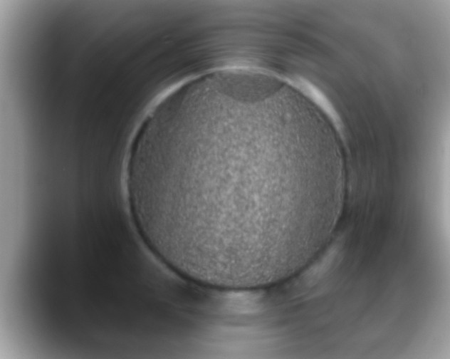 X0000088630847200706011143