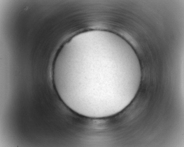 X0000088630848200706011143