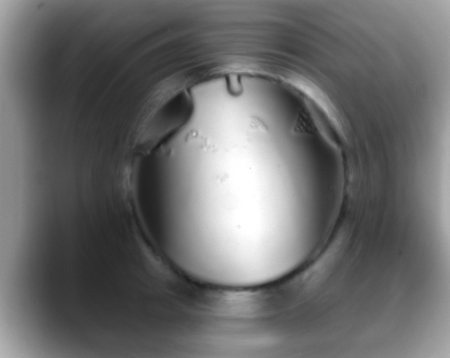 X0000088630849200706011143