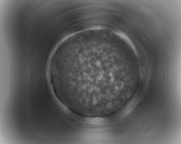 X0000088630851200706011143