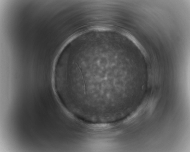 X0000088630853200706011143