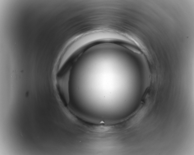 X0000088630854200706011143