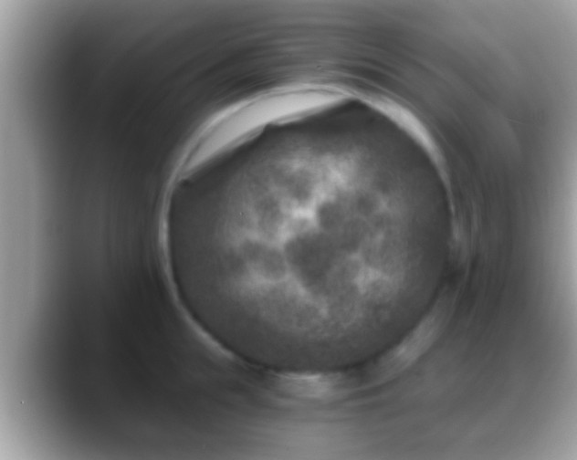 X0000088630855200706011143