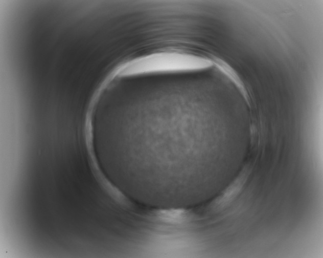 X0000088630859200706011143