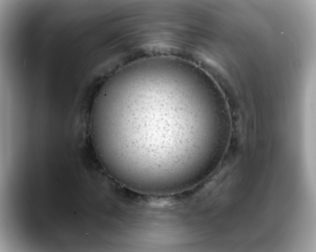 X0000088630870200706011143