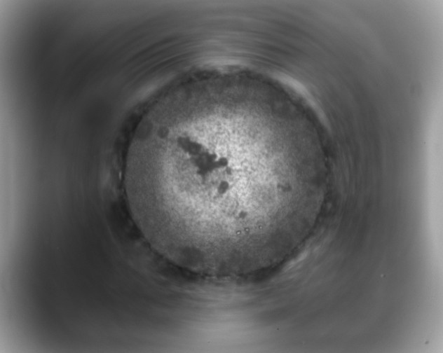 X0000088630871200706011143