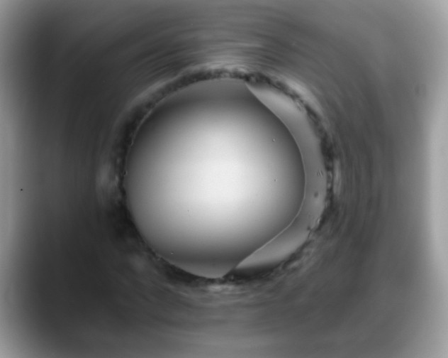 X0000088630872200706011143