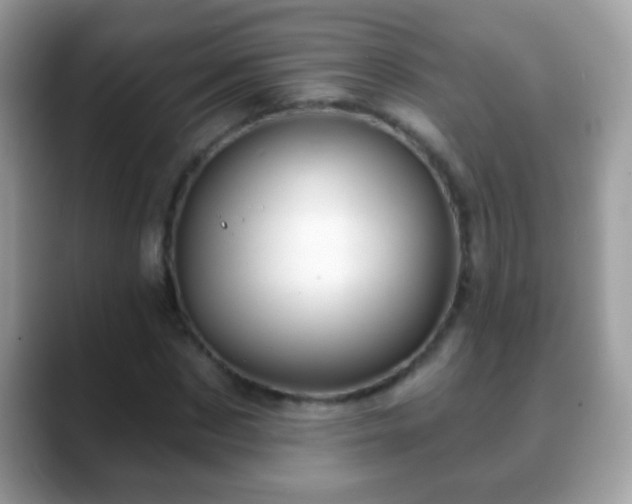 X0000088630873200706011143