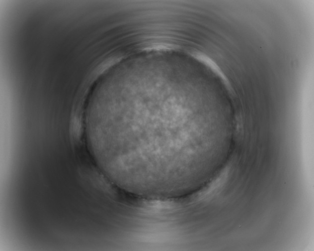 X0000088630874200706011143