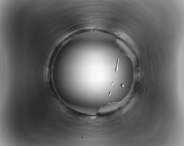 X0000088630876200706011143