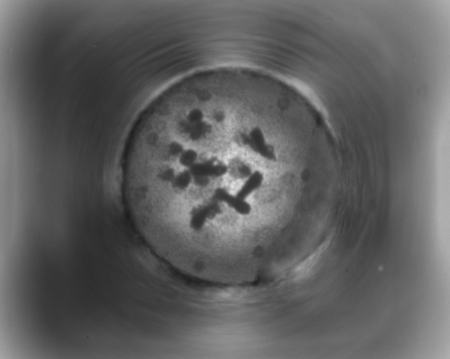 X0000088630879200706011143