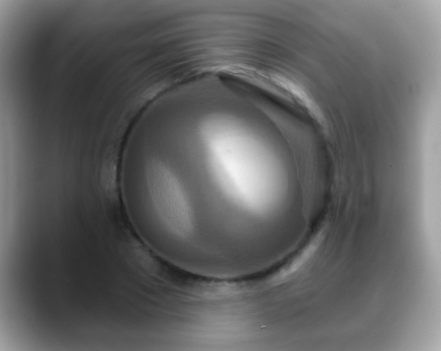 X0000088630881200706011143