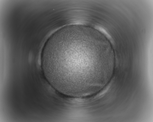 X0000088630883200706011143