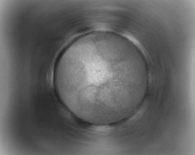 X0000088630886200706011142