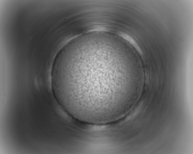 X0000088630890200706011142