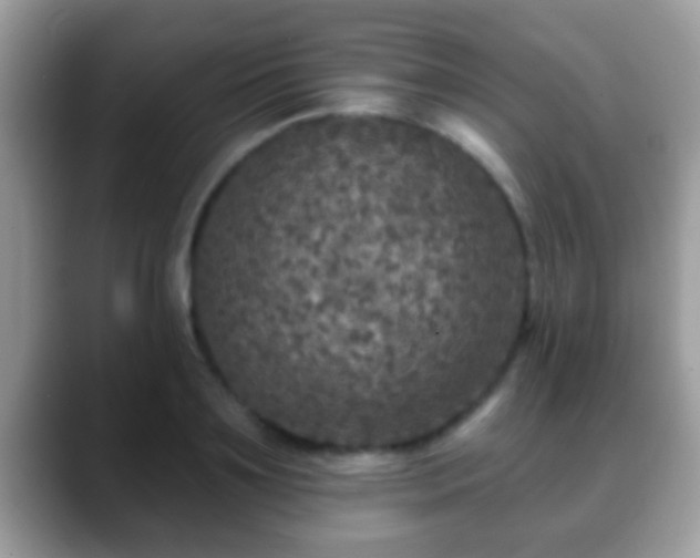 X0000088630891200706011142