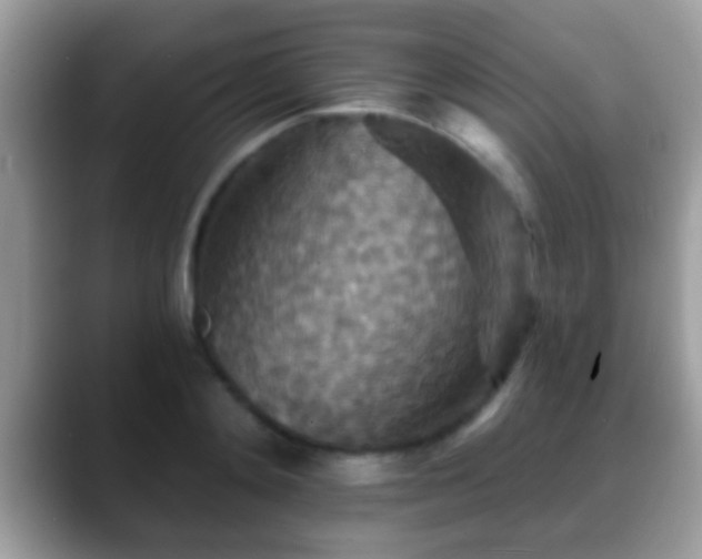 X0000088630892200706011142