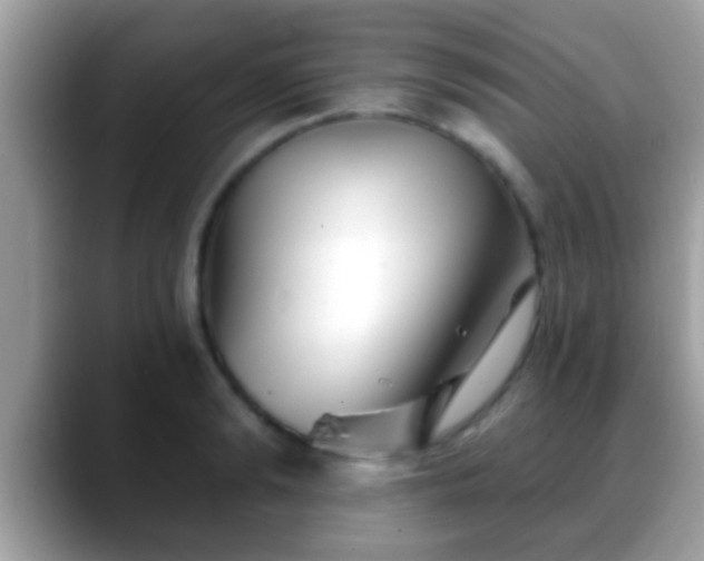 X0000088630894200706011142