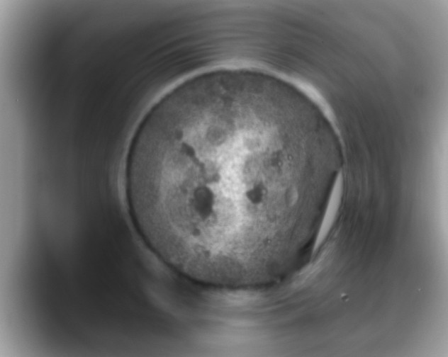 X0000088630895200706011142