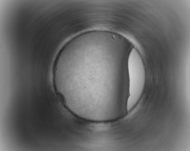 X0000088630896200706011142