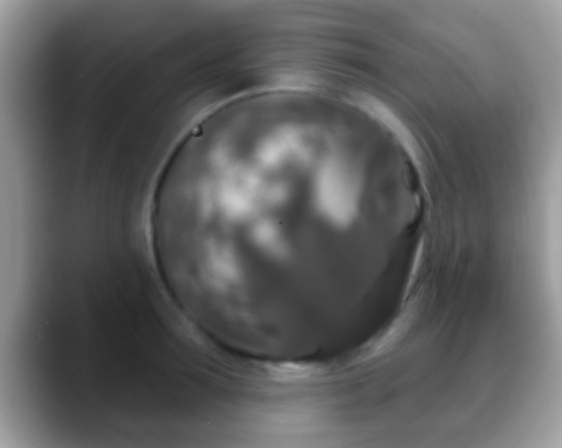 X0000088630899200706011142